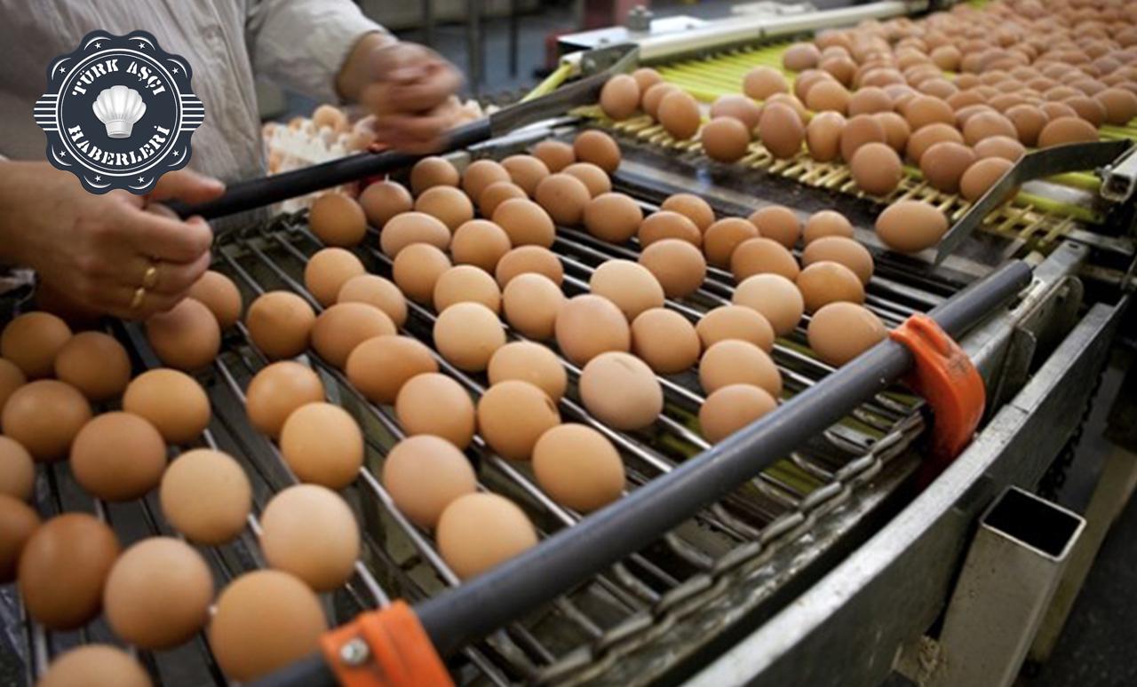 Türkiye'den 19 Ülkeye, 180 Milyon Dolarlık Yumurta İhracatı